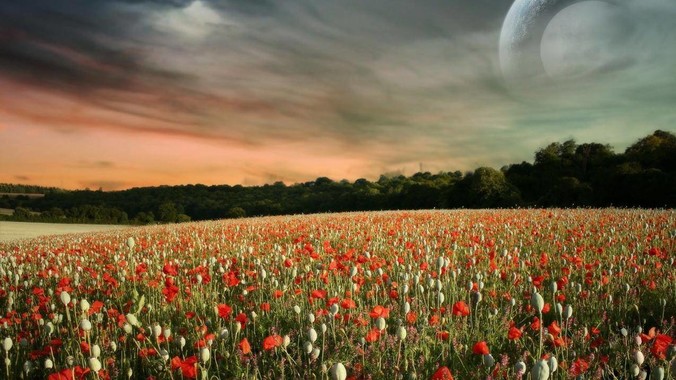 国内很多男性在非洲和当地女人恋爱是真的吗?